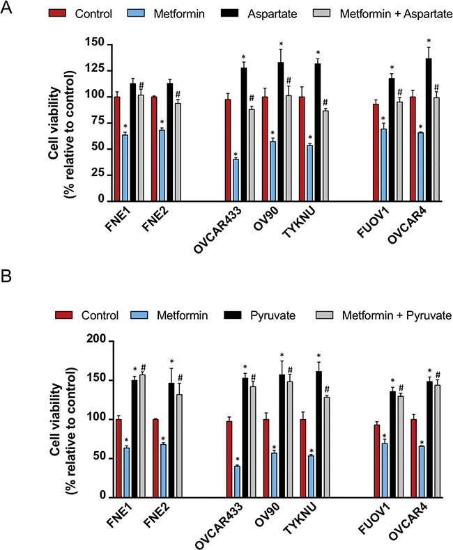 Asparate and pyruvate supplementation inhibits the effects of metformin on cell proliferation.