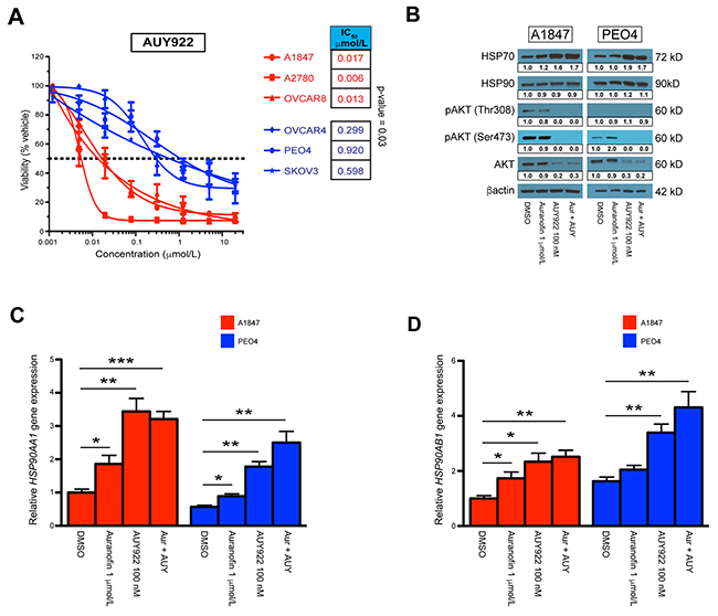 Single agent and combinatorial effects on the HSP90 pathway.