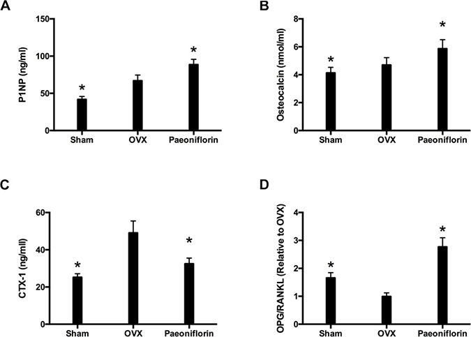 Effect of paeoniflorin treatment on bone turnover biomarkers in OVX rats.