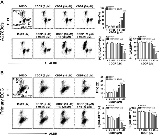 The combination of compound 19 with cisplatin diminishes ovarian cancer ALDHhigh stem cell-like cells (CSC-LCs) population.