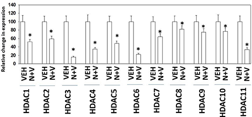 Exposure of 4T1 cells to [neratinib + valproate] rapidly reduces HDAC expression in vitro.