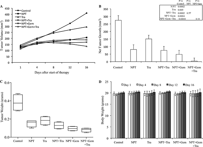 Antitumor activity of nab-paclitaxel-based chemotherapy regimens and trametinib in Panc-1 tumor xenografts.