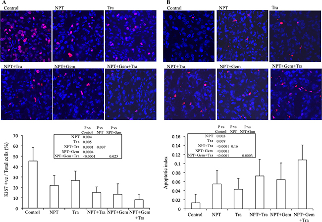 Mechanisms of antitumor activity of nab-paclitaxel-based chemotherapy regimens and trametinib.