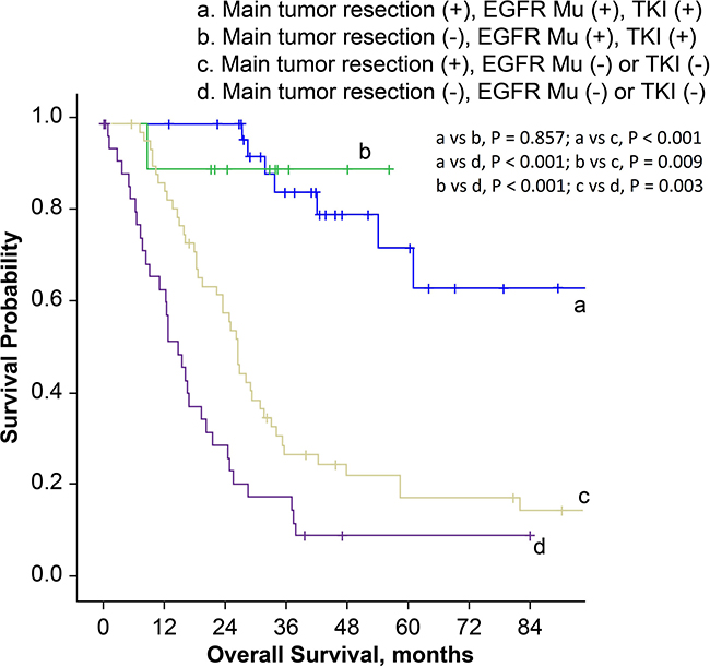 Kaplan-Meier survival curves for patients stratified by surgical procedures, EGFR mutation status and history of EGFR-TKI treatment.