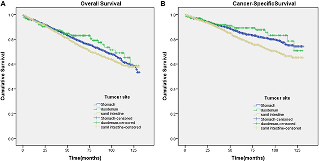 Kaplan-Meier curves for overall and cancer-specific survival.