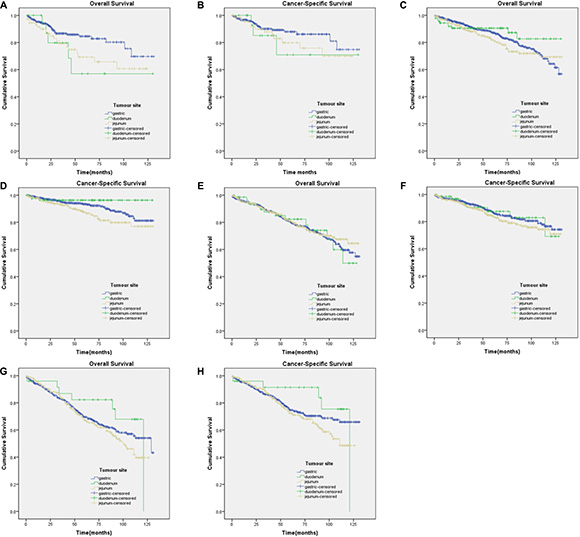 Kaplan-Meier curves for overall and cancer-specific survival in patients with &#x2264; 5 mitoses per 50 HPF to subgroup1)-4).