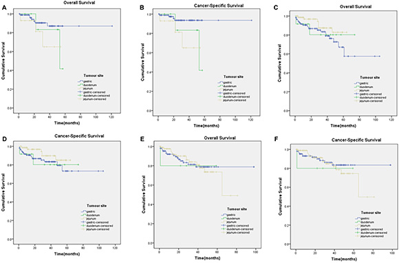 Kaplan-Meier curves for overall and cancer-specific survival in patients with &#x003E; 5 mitoses per 50 HPFs to subgroup6)-8).