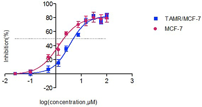 The inhibitory effects of different concentrations of 4-OH TAM on MCF-7 and TAMR/MCF-7 cells.