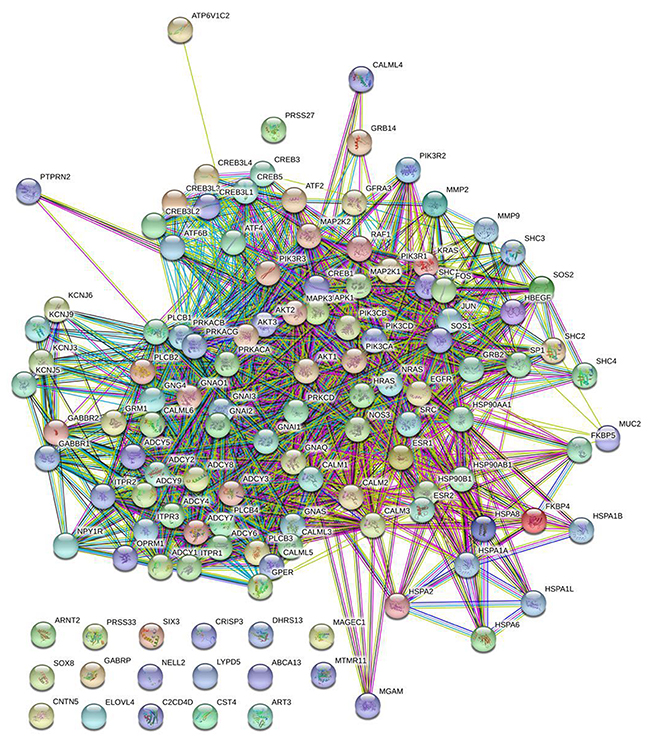 Protein-protein interaction network analysis.