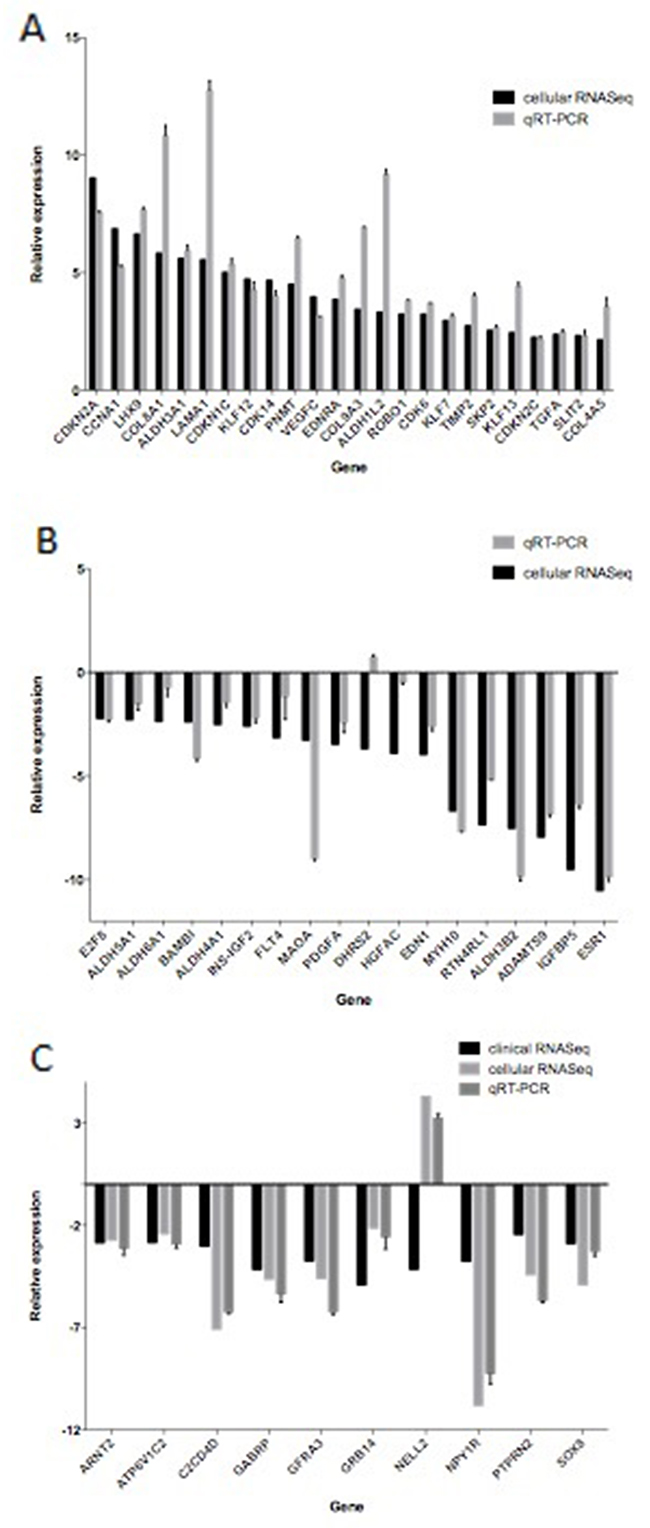 The differentially expressed genes detected by transcriptome sequencing confirmed by qRT-PCR.