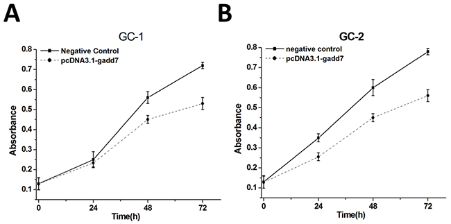 Cell proliferation changes caused by transfection of pcDNA3.1-gadd7.