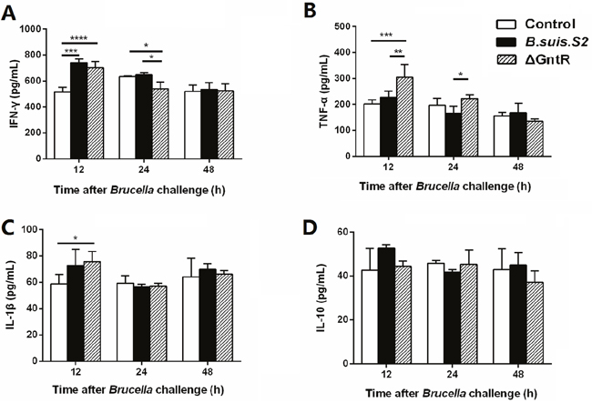 Production of inflammatory cytokines in the B. suis. S2- and &#x0394;GntR-infected macrophages.