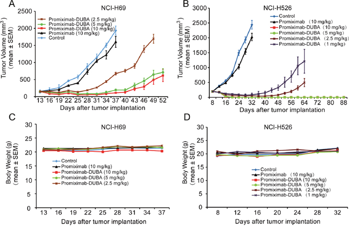 Therapeutic effects of promiximab and promiximab-DUBA against NCI-H526 and NCI-H69 small cell lung cancer xenografts.