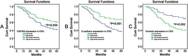 The Kaplan-Meier survival curves were performed to predict the 5-year survival rates of CRC patients.