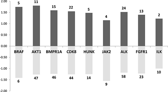 Main kinases whose known targets are dysregulated in both rat and mouse models.