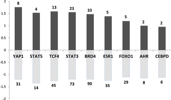 Main transcription factors (TF) whose known targets are dysregulated in both rat and mouse models.