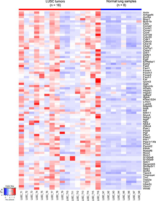 Heatmap