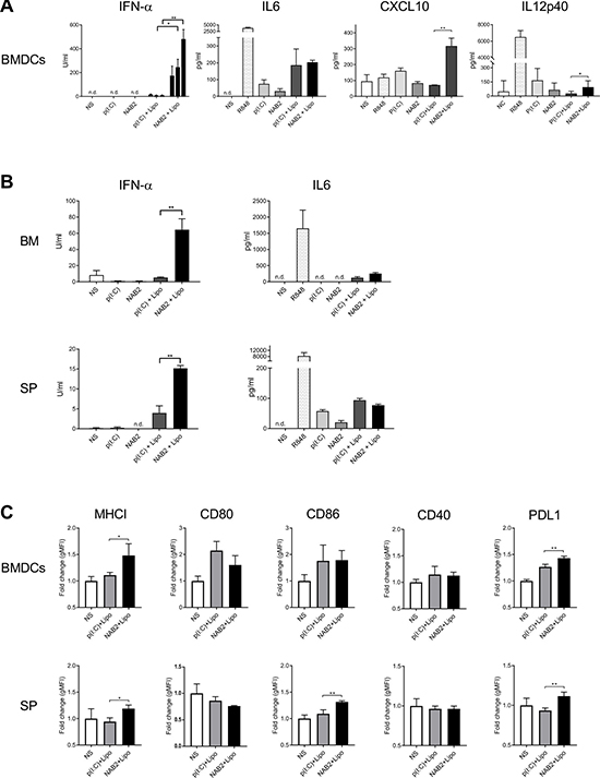 NAB2 enhances type I IFN response in murine immune cells.