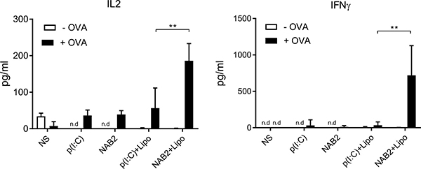 NAB2-stimulated BMDC activate CD8+ OT-1 T cells to produce IL2 and IFN&#x03B3;.