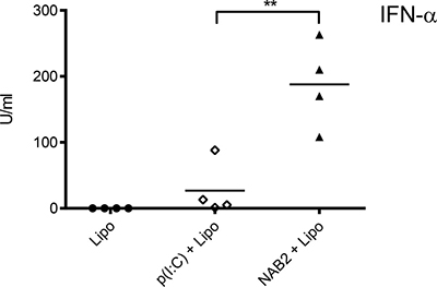 NAB2 increases IFN-&#x03B1; serum levels in vivo.