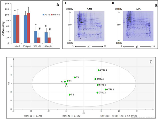 AsA treatment effects in melanoma cells.