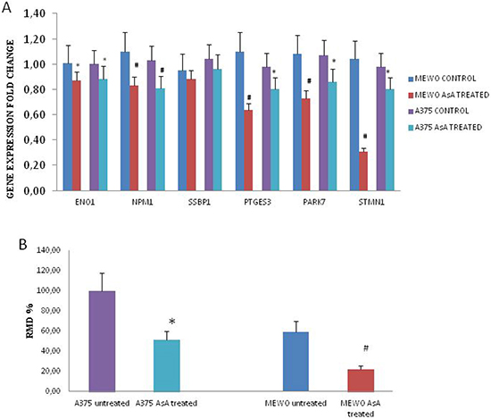 Gene expression modulation and migration ability in AsA treated melanoma cells.