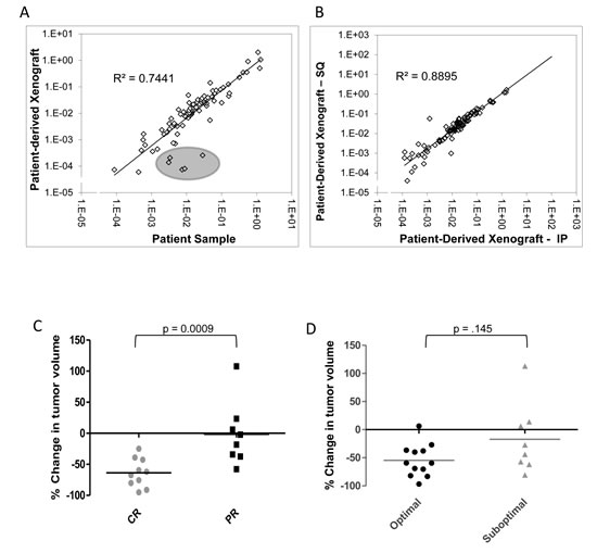 Cancer drug targets are maintained in the PDX line and the PDX response to treatment correlates to the patient&#x2019;s response to primary chemotherapy.