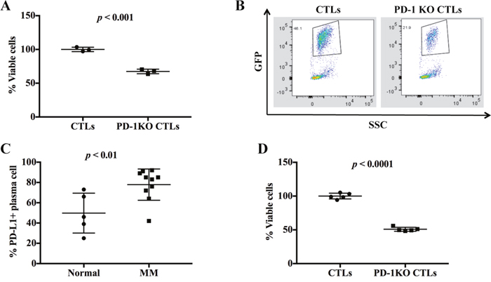 PD-1 disruption increased the cytotoxic activity of CTLs.