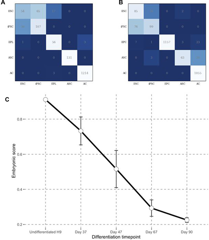 Predicting embryonic state through DNN ensemble.