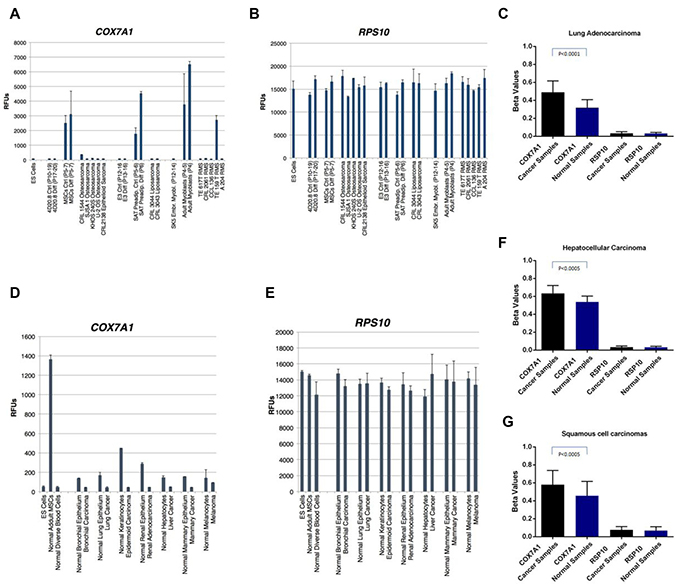 Expression analysis of COX7A1 and RPS10 transcripts in cancer, embryonic and adult cell lines along methylation analysis of COX7A1 and RPS10 genes in cancer and healthy samples.