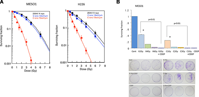 Figure 2: