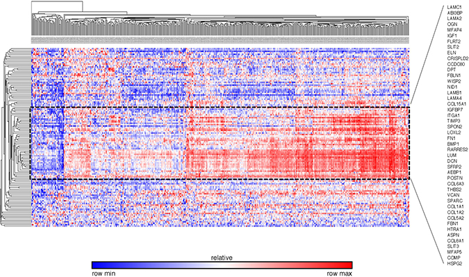 External validation of ECM-associated genes by the TCGA breast cancer database The heat map and hierarchial clustering presented the ECM-associated gene expression level of different breast patients in TCGA database.