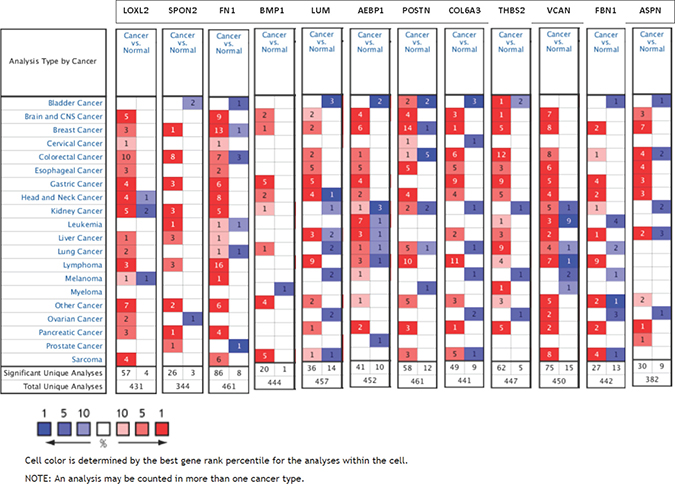 Expression of 12 oncogenic ECM-associated genes in different cancer types.