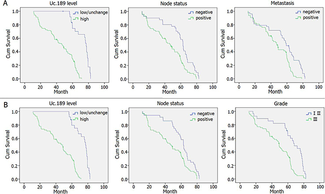 Survival curves in patients with CSCC and EAC according to uc.189 levels.