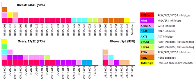 Fractions of AYA female tumors with potentially actionable gene aberrations.