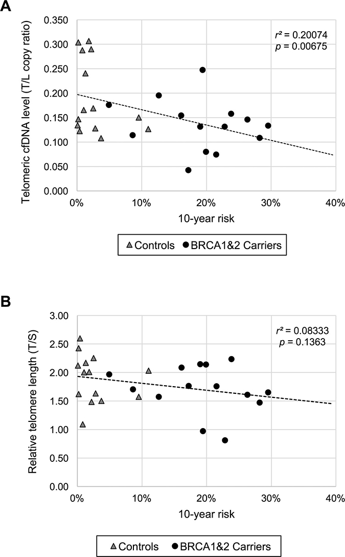 The plasma telomeric cfDNA level is correlated with individual 10-year breast cancer risk in non-obese women.