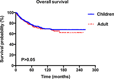 Kaplan&#x2013;Meier overall survival curves for children and adult patients with MB.