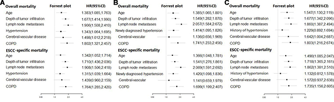 Forest plot of multivariate-adjusted hazard ratios (HRs) of hypertension for overall and ESCC-specific survival outcome.