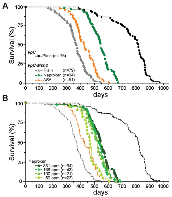 Naproxen increases the lifespan of VpC-Msh2 Lynch syndrome mice.