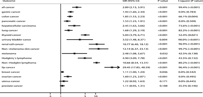 The summary results for cancer risk in recipients of renal transplants.