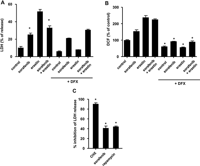 Sorafenib partially protects HCC cells from oxidative stress and ferroptosis induced by erastin.