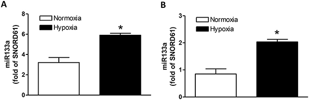 Effect of hypoxia on miR-133a expression in fetal hearts and cardiomyocytes.