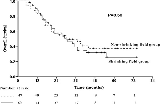 Kaplan-Meier curve of overall survival (OS) in the studied population (P = 0.58).