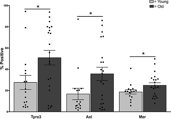 Elevated expression of TAM receptors in monocytes of older adults.