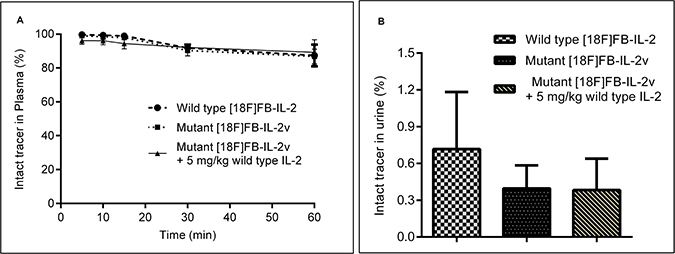 In-vivo metabolism of wild-type [18F]FB-IL2 and mutant [18F]FB-IL2v in Wistar rats, as determined by the TCA precipitation assay.