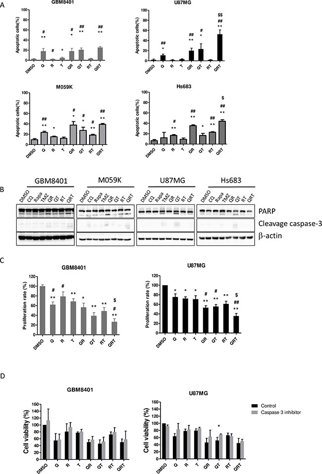 Effect of CQ (Q), Rapa (R) and TMZ (T) in different combination treatment on apoptosis and proliferation in 4 GBM cell lines.