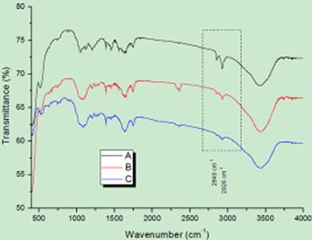 FT-IR spectral analysis of UCNPs.