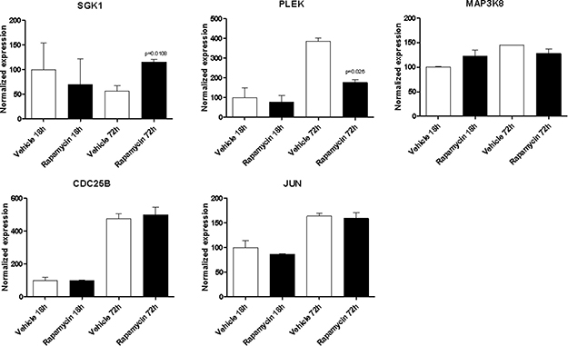 Effect of Rapamycin on the expression levels of the genes shared among the mTOR network and the CD4 migratory phenotype in CD4 T cells, as measured by qRT-PCR in Th17 cells.