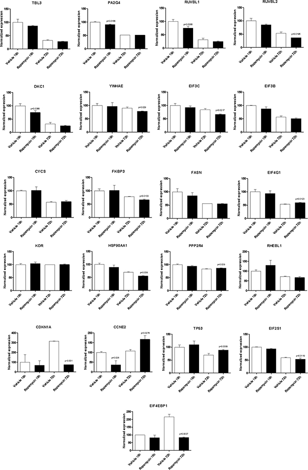 Effect of Rapamycin on the expression levels of the genes shared among the mTOR network and the CD4  activated phenotype in CD4 T cells, as measured by qRT-PCR in Th17 cells.