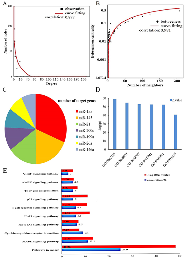 MiRNAs and their target genes biological function and topological properties.